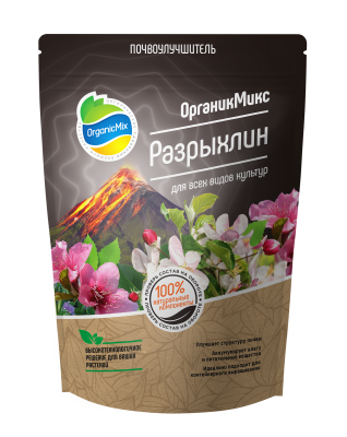 Разрыхлин