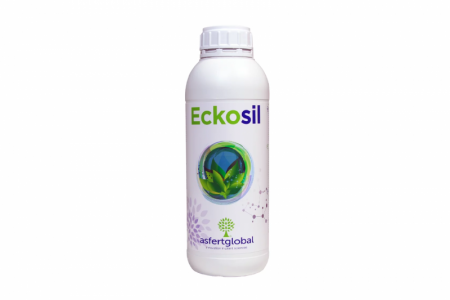 экосил (eckosil)