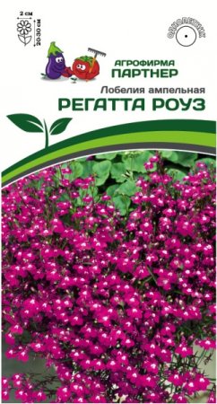 партнер лобелия ампельная регатта роуз